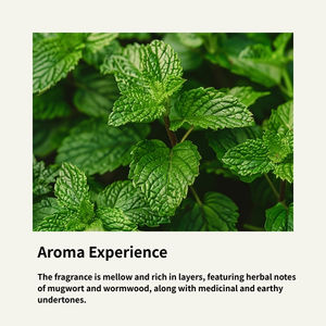 Mayfield Nane Esansiyel Yağı Doğal Organik %100 Saf Tüm Cilt Tipleri İçin Fabrika Direkt 1 Şişe Sipariş - Product Image 3