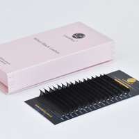 LashPlus extension de cils faite à la main volume complet extension de cils volume cils en soie