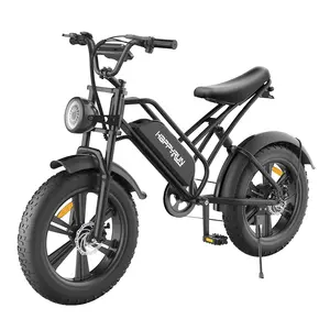 HAPPYRUN HR-G50电动自行车20*4.0英寸脂肪轮胎48V 18Ah电池750瓦电机45公里/小时最大速度复古Ebike