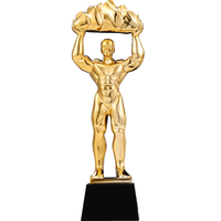 Trophée sportif gravé écologique sur mesure en cristal plaqué or JZ-055 pour la beauté Fitness Compétition Strongman Power Giant