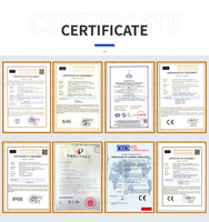 Analizador de Humedad XY-MW 0.01g Capacidad: 110g Lámpara Halógena, Porcentaje de Humedad/Contenido Seco Residual, Balanzas de Laboratorio