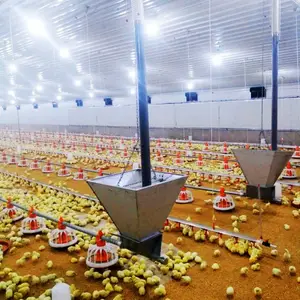 China prefabricated cheap steel structure commercial broiler poultry farm chicken house for sale