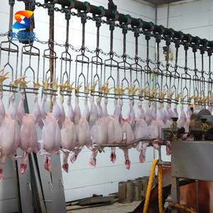 Línea de Sacrificio de Aves de Corral para 1000 Aves, Línea de Sacrificio de Pollos Pequeños - Product Image 1