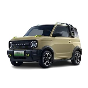 Geely Panda 2024, Auto Elettrica a Quattro Ruote e Quattro Posti, Veicolo a Nuova Energia per Adulti, Mini Auto Elettrica Geely Panda 2025 in Offerta - Product Image 1