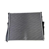 Radiateur de voiture en aluminium 17113414986 pour BMW X3 E83 2007-2008