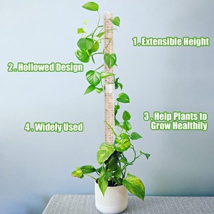 Cadre d'escalade pour plantes, tige de mousse empilable, tige de mousse en plastique creuse, tige de support pour plantes en pot - Product Image 6