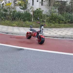 Los Más Vendidos con <span class=keywords><strong>Diferentes</strong></span> Tipos de Formas para el Scooter Eléctrico Citycoco - Product Image 5