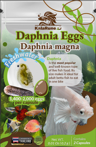 Œufs de Daphnia Magna (eau douce) — Pour l'éclosion en nourriture vivante pour poissons, fabriqués en Thaïlande, 100 % naturels - Product Image 2