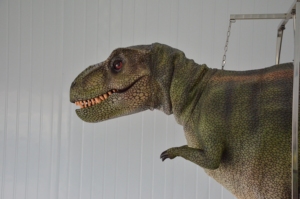Modèles animatroniques réalistes de haute qualité personnalisés, Jurassic <span class=keywords><strong>Park</strong></span>, modèle de dinosaure, animatroniques d'Halloween, Jurassic <span class=keywords><strong>Park</strong></span> - Product Image 4