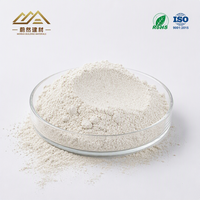 Bentonite de sodium à haute teneur en montmorillonite et volume de gel élevé, à hydratation rapide, pour boues de forage et installation de puits d'irrigation