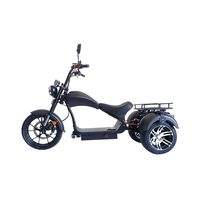 Çin fabrika Vintage elektrikli üç tekerlekli bisiklet Citycoco E Scooter üç tekerlekli motosiklet kıyıcı