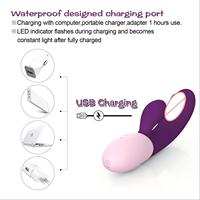 Leistungsstarker Rabbit-Vibrator Sexspielzeug G-Punkt Klitoris Vagina Stimulator für Frauen Großhandel Fabrik OEM & ODM Lebensmittelechtes Silikon
