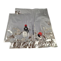 Sac de BAVOIR liquide en plastique de diverses tailles personnalisées de fournisseur de la Chine dans la boîte avec la valve