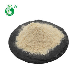 中国メーカー供給 オーガニックきのこ粉末 卸売価格 ヤマブシタケ粉末 - Product Image 3