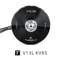 Moteur T-MOTOR V13L KV65 VTOL, poussée maximale de 55 kg, 6000 W, 24S, 42N38P, IPX5, pour drone cargo UAV à charge utile lourde de 100 à 200 kg