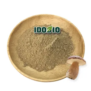 纯天然牛肝菌粉100%