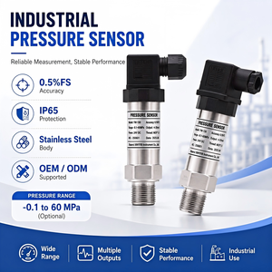 Sensor Industrial de Acero Inoxidable de 0.5%FS 4-20mA RS485 para Sistemas - Product Image 5