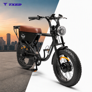 Bicicletta Elettrica TXED con Pneumatici Fat da 20 Pollici, Motore Posteriore da 250W 48V, Cambio Shimano a 7 Velocità, Telaio <span class=keywords><strong>in</strong></span> Lega, <span class=keywords><strong>Moto</strong></span> Elettrica per Adulti - Product Image 1