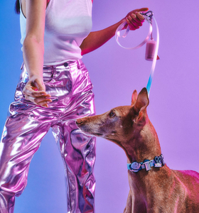 Ensemble de harnais pour chien d'extérieur en PVC souple, laisse réglable et collier avec breloques, équipement pour animaux de compagnie pour la randonnée, le camping, la course et la promenade, fourniture directe usine - Product Image 3