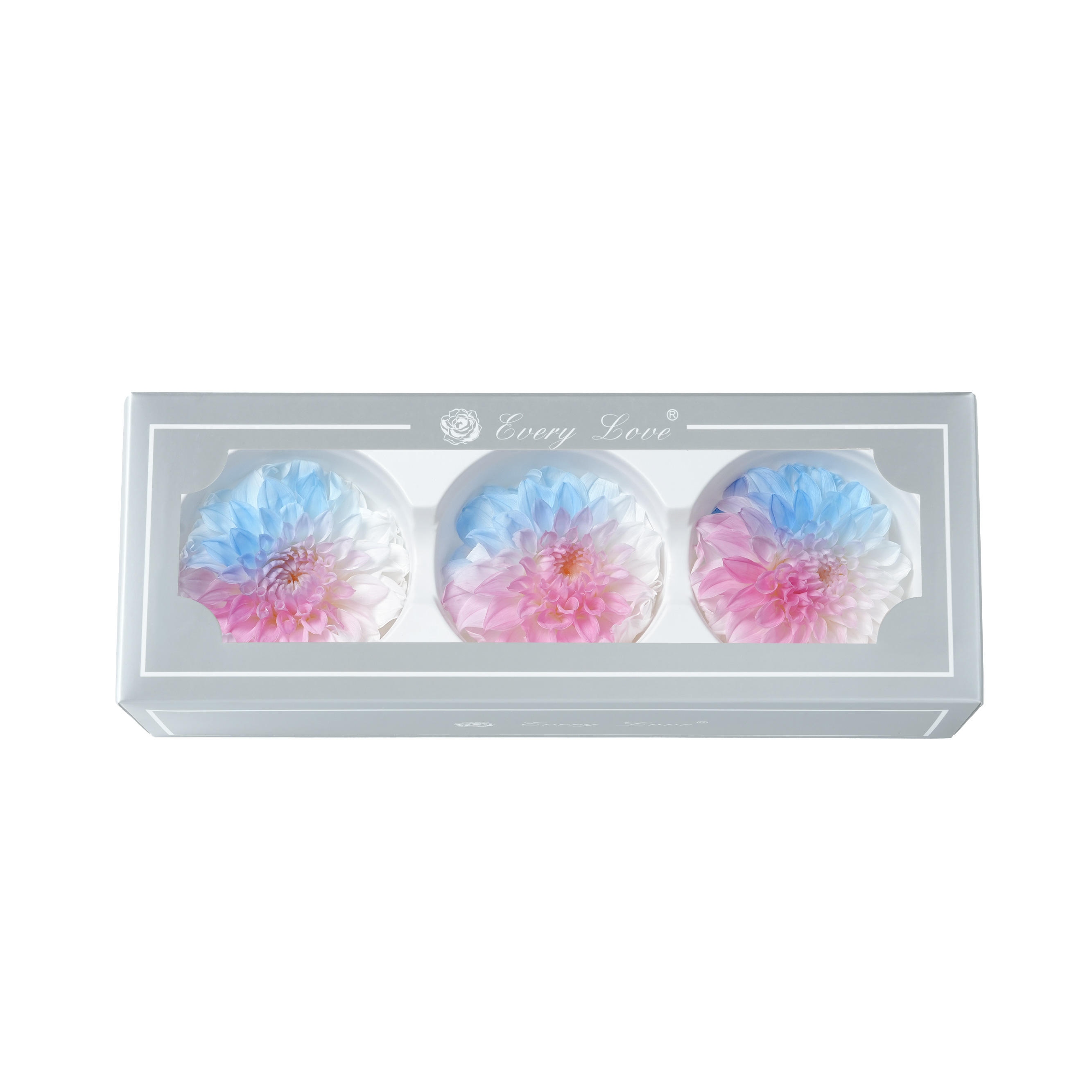 นางเงือก