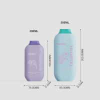 Bouteille en plastique vide personnalisable pour soins personnels 300ml/500ml, contenant pour shampoing/lotion, flacon anti-fuite pour soins de la peau
