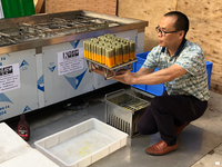 Moule à glaces et sucettes Ataforma Finamac pour fruits et lait, 12 cavités, certifié CE ISO, nouveau, livraison gratuite CIF au port du Brésil
