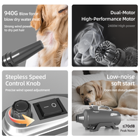 Sèche-cheveux professionnel Shernbao DHD-2400T 2400W à double moteur, personnalisable, pour animaux de compagnie (chiens et chats), directement de l'usine