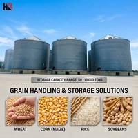 Silo in Acciaio per Stoccaggio Commerciale di Orzo, Mais, Grano e Cereali per Grandi Impianti di Macinazione di Riso/Grano/Mais/Mangimi