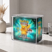 Solution d'affichage de cartes à collectionner en acrylique personnalisée pour les magasins de cartes, boîte d'affichage transparente résistante aux UV et à l'eau