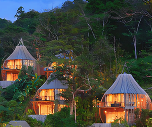 Lüks kuş kafesi-şekil Serenity prefabrik ahşap ağaç ev özelleştirilebilir yapay ağaç ev sıcak satış oteller için - Product Image 3