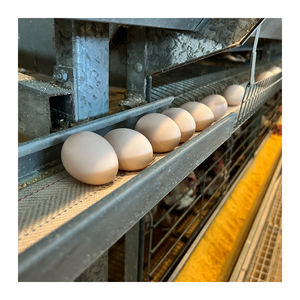 Kümes hayvancılığı yeni ve kullanılmış çelik ekipman pil H tipi tavuk kümesi için otomatik katman tavuk kafesi - Product Image 3