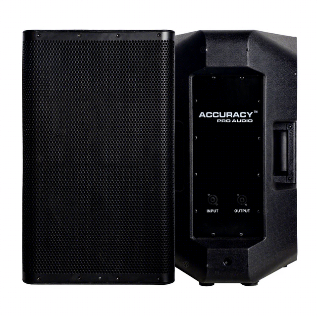 Accuracy Pro Audio CAU15 15 Inch Stage Sound Professional 2 Way Multi-functional Audio Sound Plastic Passive Speaker