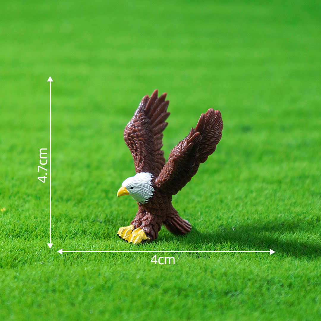 4#  Aquila calva