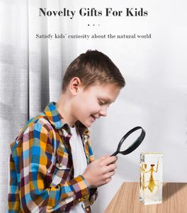 교실 중학생용 도매 교육용 교구 실제 곤충 사마귀 에폭시 수지 박제 표본 문진 - Product Image 6