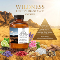 Huile essentielle aromatique boisée pour diffuseur, parfum longue durée, OEM, marque privée