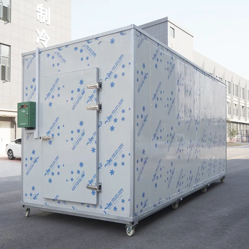 Cooling container freezer container walk in freezer Cooler room for freezer Solar cold storage