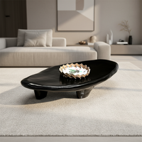 Table basse ovale irrégulière de luxe moderne et créative pour salon, en PRF (plastique renforcé de fibres de verre), noire, avec rangement facile