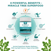 Kangherb OEM/ODM Vente en gros de produits de santé : Soutien immunitaire, digestif et énergétique – 60 capsules végétaliennes d'extrait de feuille de Moringa