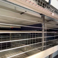 Cage à poulets automatique en H galvanisée à chaud de haute précision pour l'élevage commercial de poules pondeuses