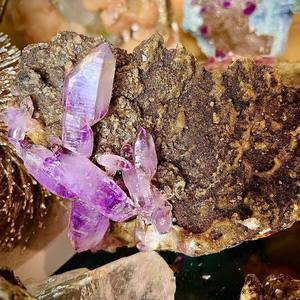 Prix de gros Mexique Spécimens de cristal Améthyste naturelle de <span class=keywords><strong>Vera</strong></span> <span class=keywords><strong>Cruz</strong></span> en grappe à vendre - Product Image 4