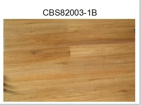 CBS82003-1B