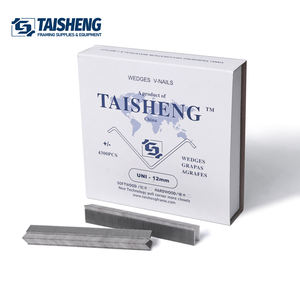 TS-D41 <span class=keywords><strong>V</strong></span> çivi 12mm UNI tipi VNail takozlar resim çerçeveleme için yumuşak ahşap resim çerçeveleri marangoz - Product Image 1