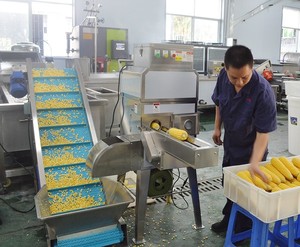 MZ-368 Sweet <strong>Corn</strong> Maize Peeling <strong>Machine</strong> <strong>Corn</strong> Threshing <strong>Machine</strong> <strong>Corn</strong> Sheller <strong>Machine</strong> - Product Image 4
