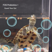 Vente en gros en usine de la dernière nourriture de tortue personnalisable et hautement nutritive