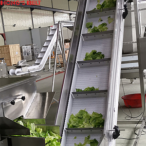 Hongsbelt taşınabilir modüler konveyör PP gıda sınıfı plastik eğimli konveyör bant - Product Image 2