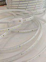 Type de prise de AC220V-IP65-2835-120D-8MM-6000K bandes lumineuses enveloppées de caoutchouc de silicone diverses applications industrielles lampes au néon