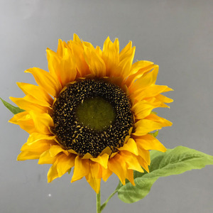 <span class=keywords><strong>Girasol</strong></span> <span class=keywords><strong>de</strong></span> plástico Artificial <span class=keywords><strong>de</strong></span> seda, tallo largo único, venta al por mayor - Product Image 5