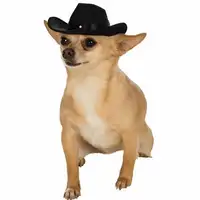 Creativo Mini Pet Cani Cappello Da Cowboy Cute Pet Protezione di Modo Accessori Per Animali Domestici