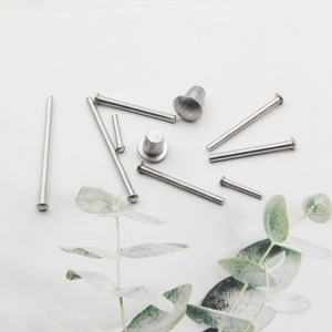 Fournisseur d'usine, fabricant professionnel de rivets semi-creux à tête plate, rivets tubulaires à tête plate, rivets doubles en acier inoxydable - Product Image 4