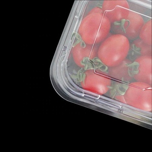 Hình chữ nhật rõ ràng nhựa bản lề <span class=keywords><strong>container</strong></span> thực phẩm vỏ sò salad trái cây nhựa <span class=keywords><strong>container</strong></span> để đi để bán - Product Image 3